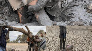 The Unseen Bond: A Birthday Secret on the Steps of Austin