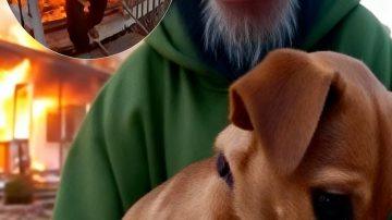 From Shackles to Sanctuary: Zuri and Sefu’s Unforgettable Journey to Freedom