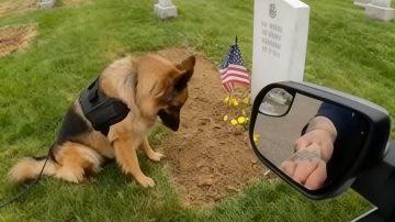 From Shackles to Sanctuary: Zuri and Sefu’s Unforgettable Journey to Freedom