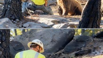 From Shackles to Sanctuary: Zuri and Sefu’s Unforgettable Journey to Freedom