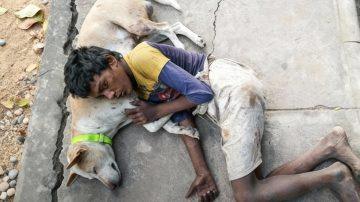 Underwater Miracle: The Unseen Struggle and Triumph of Whale Motherhood